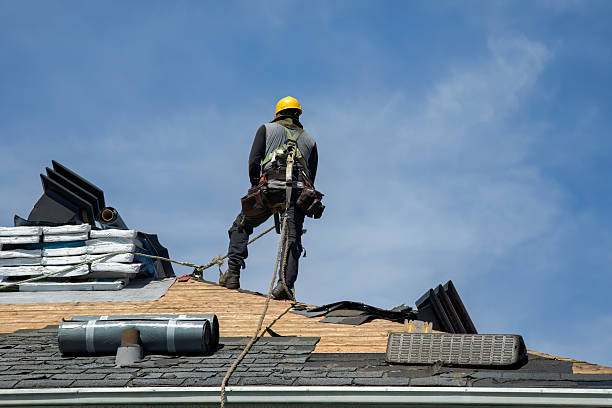 Professional Gutter Installation technician working in Palmerdale, AL